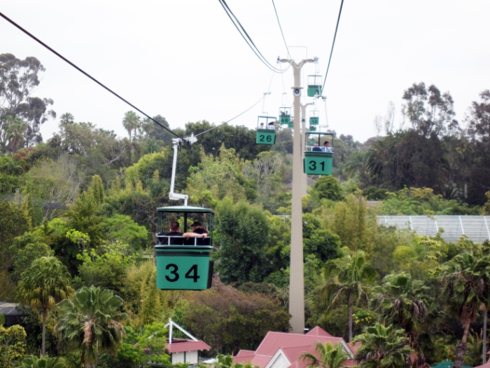 Cable Car Ride